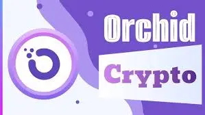 Orchid